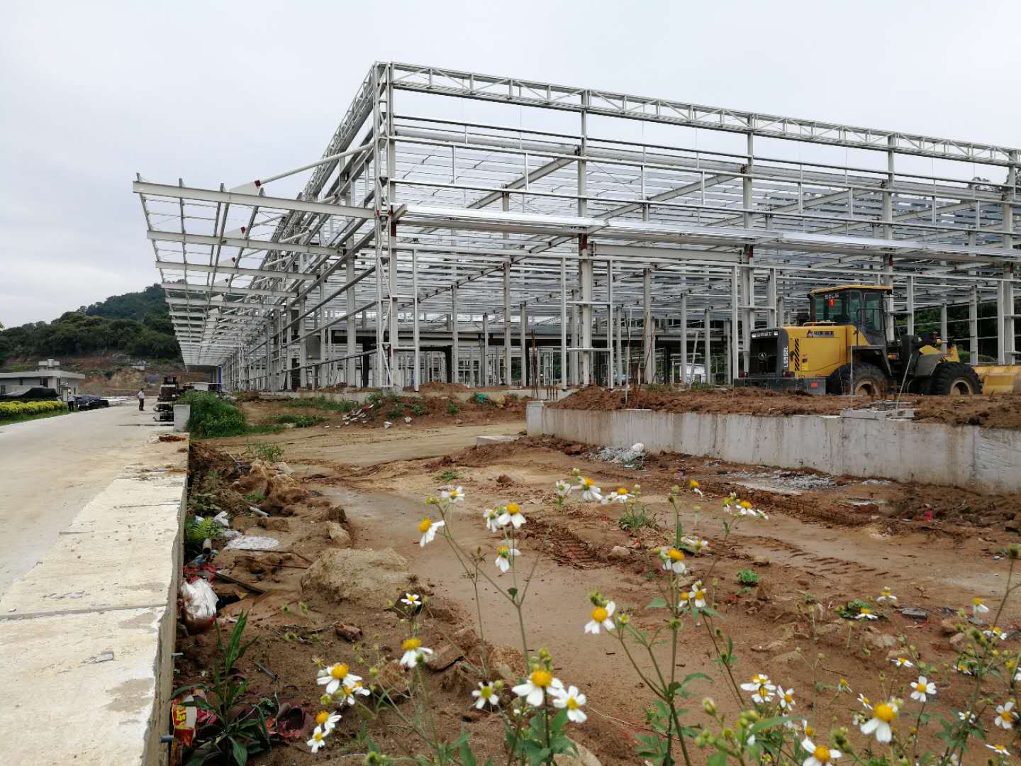 PP电子5金狮·(中国区)游戏官方网站