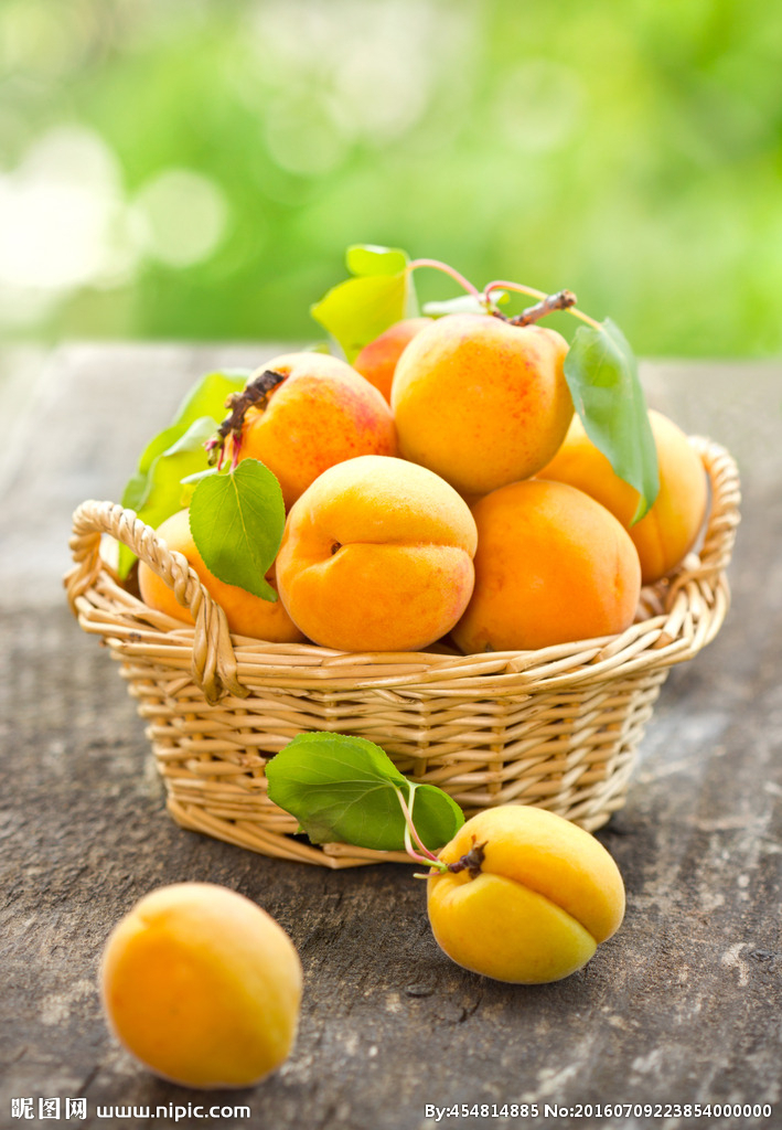 PP电子5金狮·(中国区)游戏官方网站