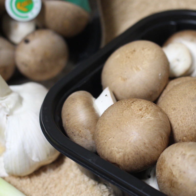 PP电子5金狮·(中国区)游戏官方网站