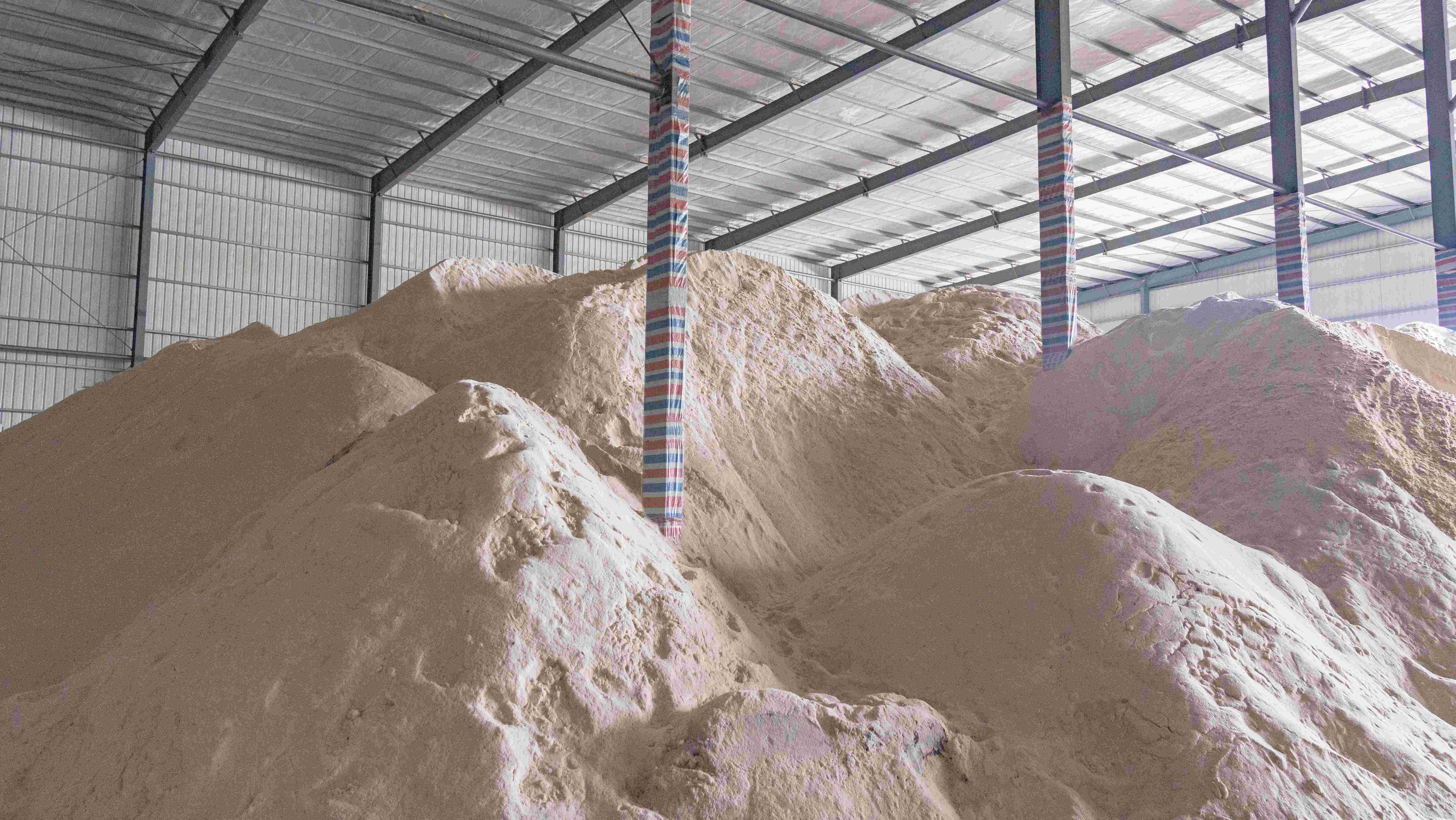 PP电子5金狮·(中国区)游戏官方网站